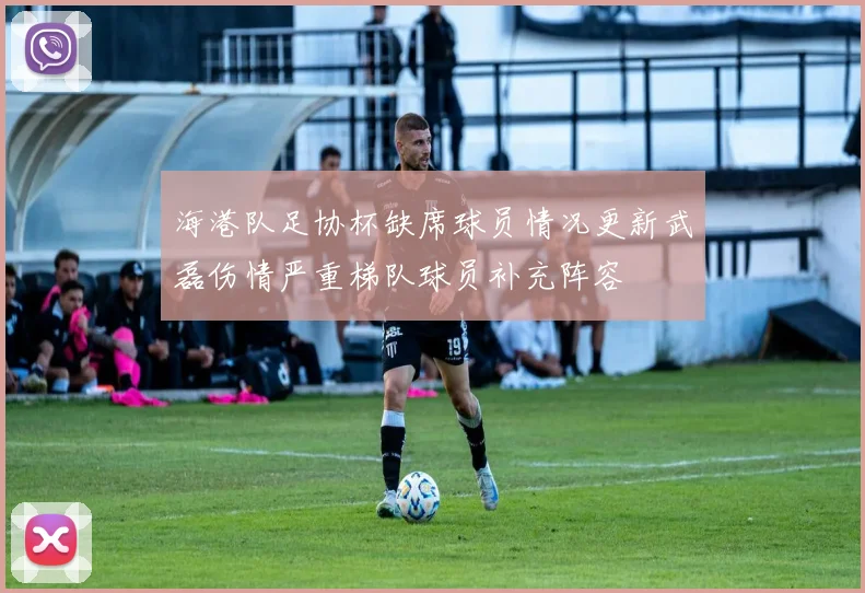 海港队足协杯缺席球员情况更新武磊伤情严重梯队球员补充阵容